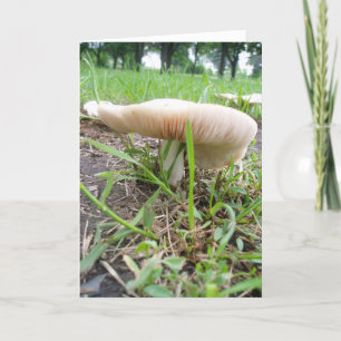 "Village Mushroom #1" Cartão de Páscoa