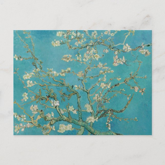Vincent van Gogh Almond Blossoms Cartão postal (Frente)
