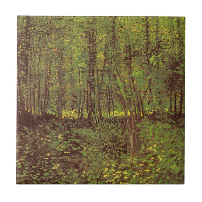 Vincent van Gogh - Árvores e Sub-bosque (Frente)