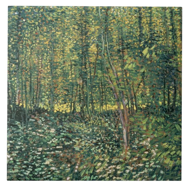 Vincent van Gogh | Árvores e Subcrescimento, 1887 (Frente)