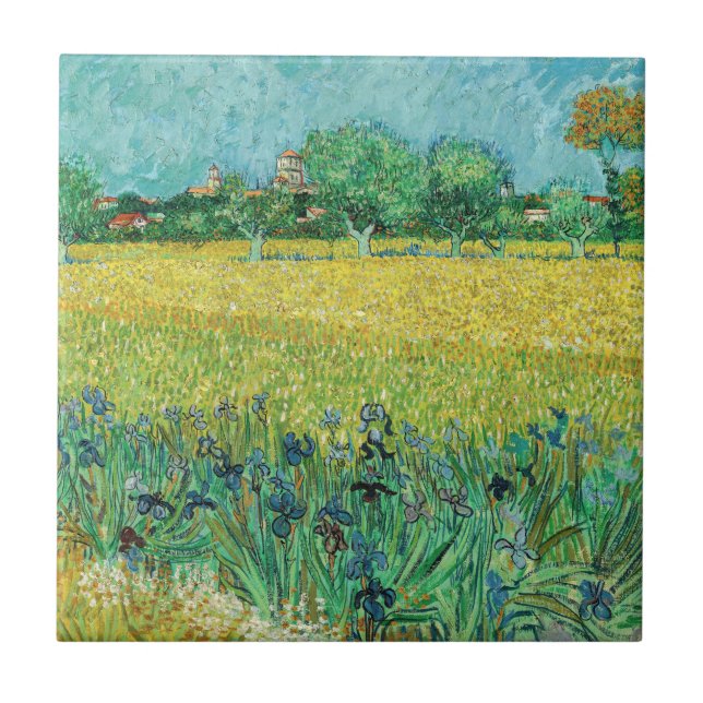 Vincent van Gogh - Campo com Íris perto de Arles (Frente)