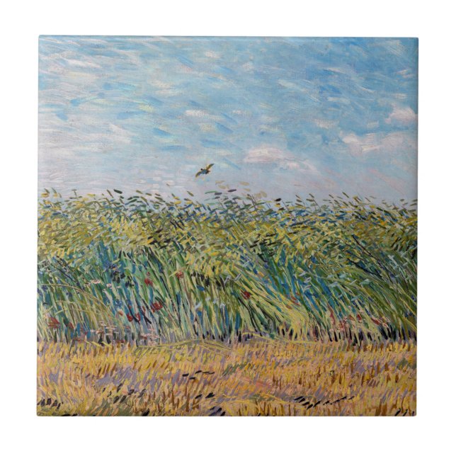 Vincent van Gogh - Campo de trigo com Lark (Frente)