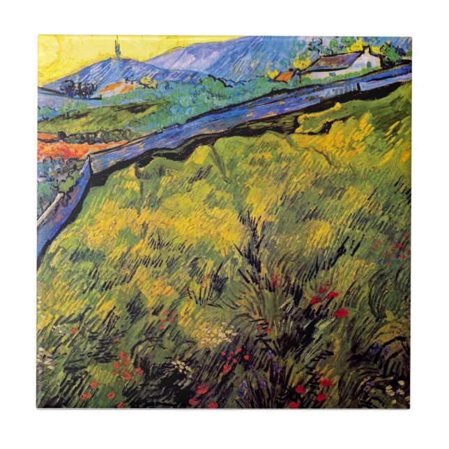 Vincent Van Gogh - Campo de Trigo de Primavera (Frente)