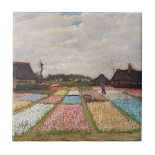 Vincent van Gogh - Canteiros de Flores na Holanda