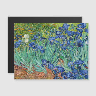 Vincent Van Gogh - Cartão Magnético Irises