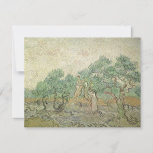Vincent van Gogh - Colheita de Azeitonas