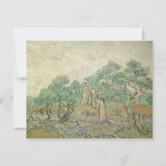 Vincent van Gogh - Colheita de Azeitonas (Frente)