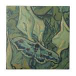 Vincent van Gogh - Grande Mariposa Noturna<br><div class="desc">Grande Mariposa Noturna (1889) por Vincent van Gogh é uma pintura de natureza-morta de arte fina vintage pós-impressionista. Um inseto, a mariposa-imperador, em um jardim de primavera com flores de copo-de-leite e outras plantas. Van Gogh chamou-a de 'mariposa caveira' e pintou uma caveira na parte de trás de seu corpo....</div>