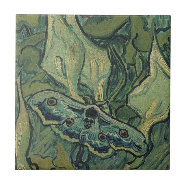 Vincent van Gogh - Grande Mariposa Noturna (Frente)