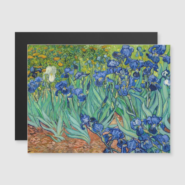Vincent Van Gogh - Íris (Frente/Verso)