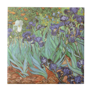 Vincent van Gogh - Íris