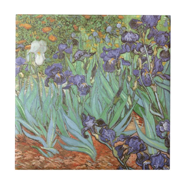 Vincent van Gogh - Íris (Frente)
