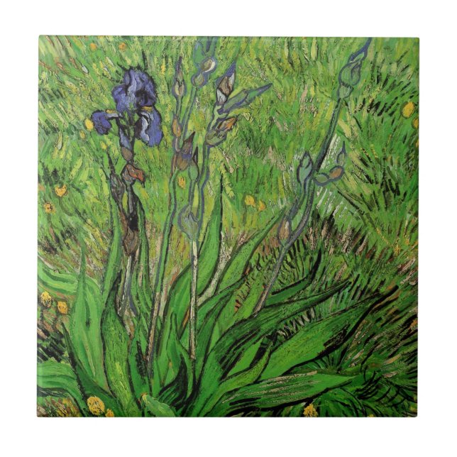 Vincent van Gogh - Iris (Frente)