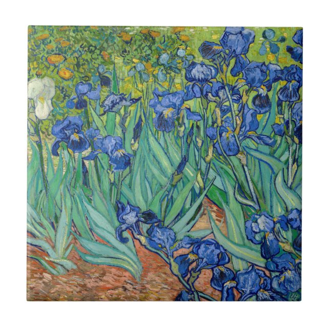 Vincent Van Gogh - Íris (Frente)