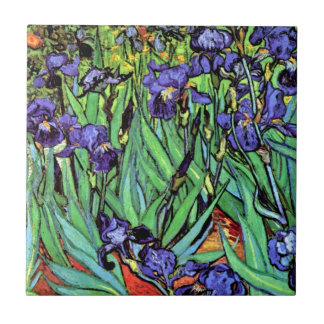 Vincent Van Gogh - Íris - Amante de Flores Arte Fi