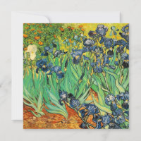 Vincent van Gogh,Irises
