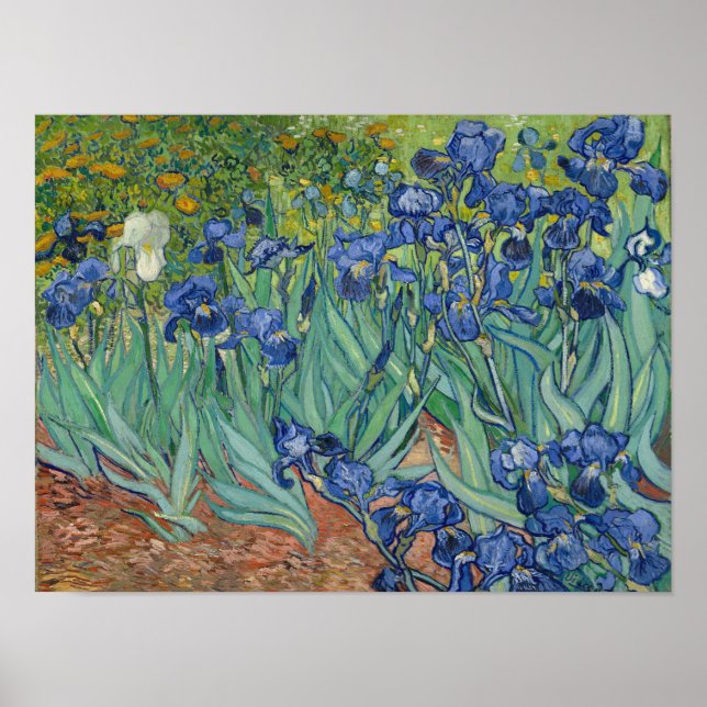 Vincent Van Gogh Irises Poster Impressão (Frente)