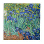 Vincent Van Gogh - Irrises<br><div class="desc">Irlandeses / Íris - Vincent Van Gogh,  1889</div>