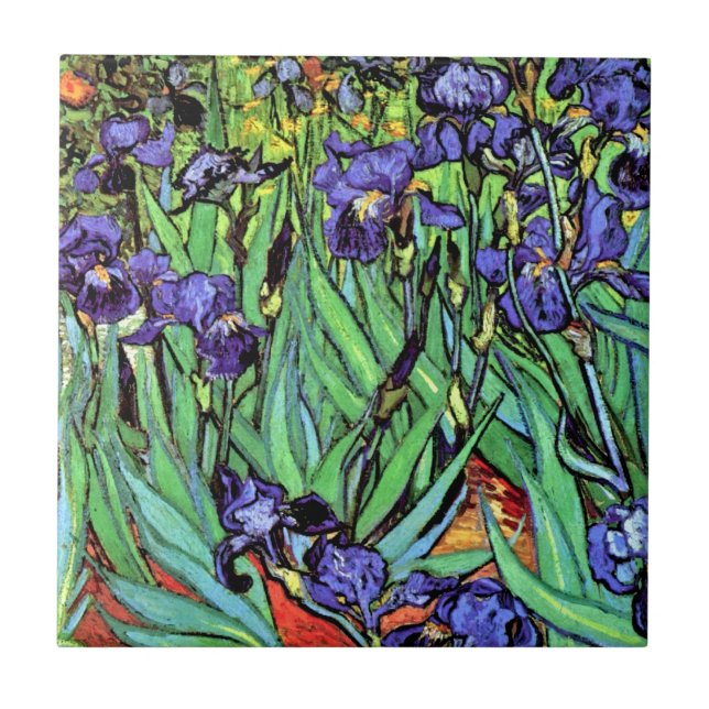 Vincent Van Gogh - Irrisões - Flor Lover Belas Art (Frente)
