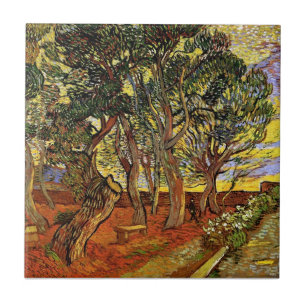 Vincent Van Gogh - Jardim do Hospital de São Paulo