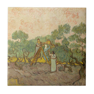 Vincent van Gogh - Mulheres Colhendo Azeitonas