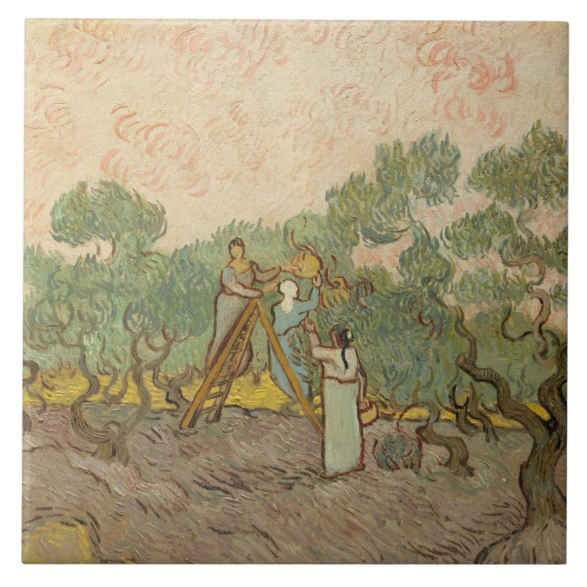 Vincent van Gogh - Mulheres Escolhendo Azeitonas (Frente)