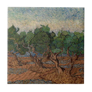 Vincent van Gogh - Olive Grove
