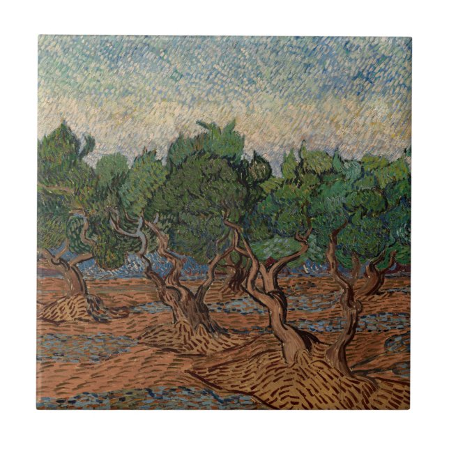 Vincent van Gogh - Olive Grove (Frente)