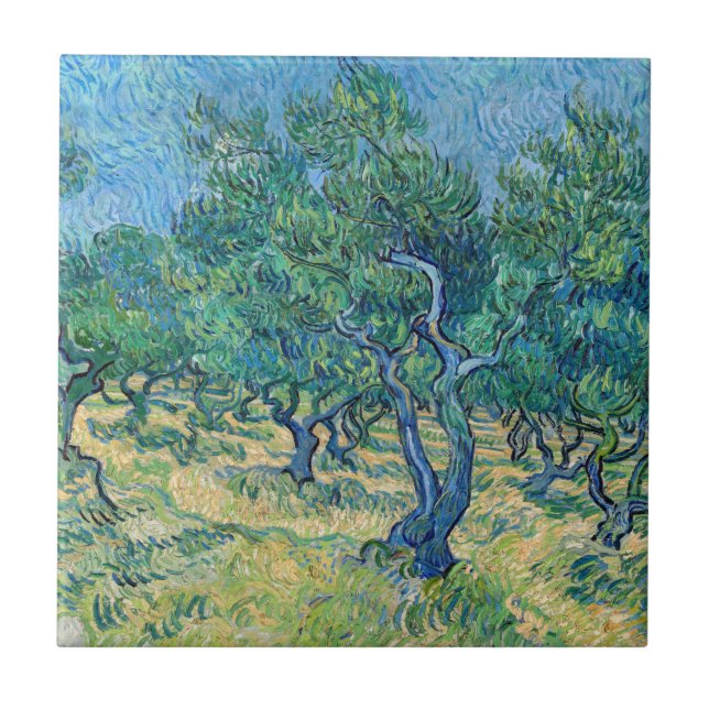 Vincent van Gogh - Olive Grove (Frente)