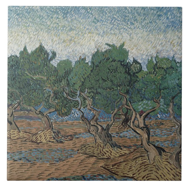 Vincent van Gogh - Olive Grove (Frente)