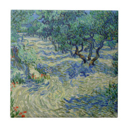 Vincent van Gogh - Olive Orchard