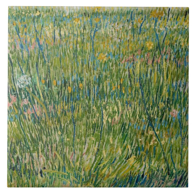 Vincent van Gogh - Patch do Grass (Frente)