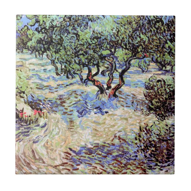 Vincent Van Gogh - Pomar de Oliveiras Arte Fino (Frente)