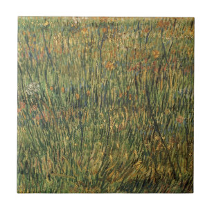 Vincent van Gogh - Prado em Flor
