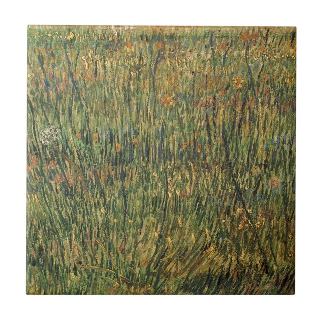 Vincent van Gogh - Prado em Flor (Frente)