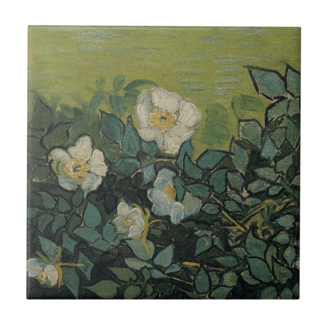 Vincent van Gogh - Rosas selvagens (Frente)