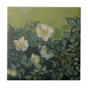 Vincent van Gogh - Rosas Silvestres