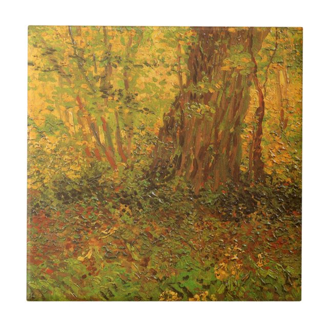 Vincent van Gogh - Sub-bosque (Frente)