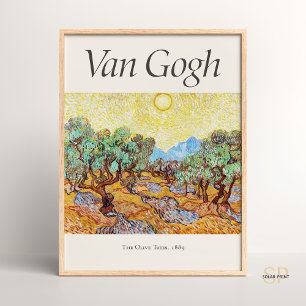 Vincent van Gogh The Olive Trees Art Impressão Vin