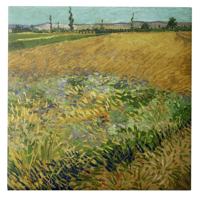 Vincent Van Gogh Vintage Wheatfield (Frente)
