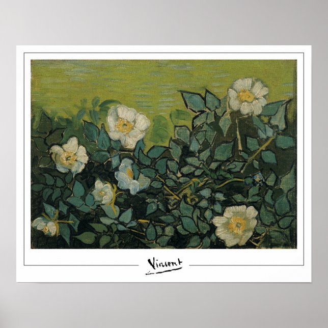 Vincent Van Gogh Zedign Art Poster nº 21 (Frente)