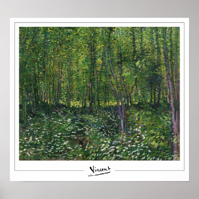 Vincent Van Gogh Zedign Art Poster nº 31-3 (Frente)