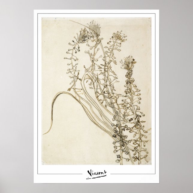 Vincent Van Gogh Zedign Art Poster nº 356-3 (Frente)