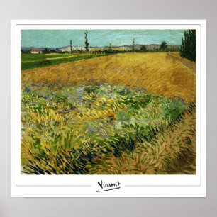 Vincent Van Gogh Zedign Art Poster nº 4