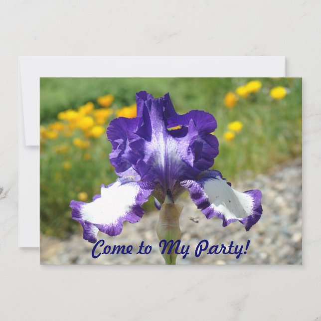 Vindo a meu partido! Convites do divertimento da (Frente)