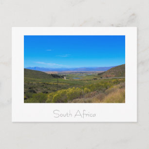 Vineyard Nature View South Africa SA Cartão postal