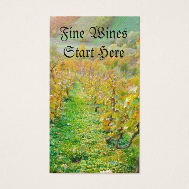 Vineyard no outono (Frente)