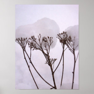 Vinha, Plantas no papel Poster de valor da neve