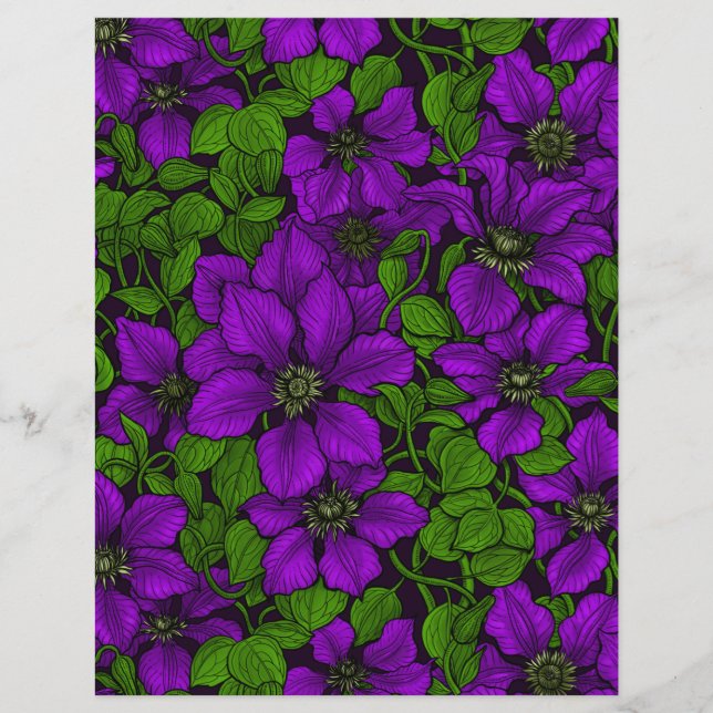 Vinha-púrpura Clematis (Frente)