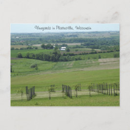 Vinhas em Platteville, cartão postal de Wisconsin